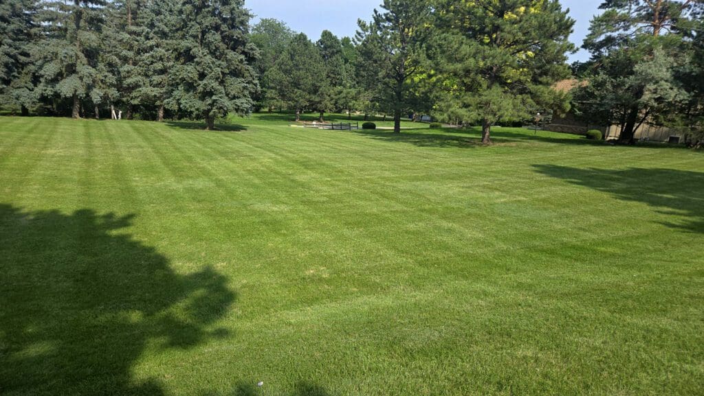 A well maintained yard with fresh cut grass in Rapid City