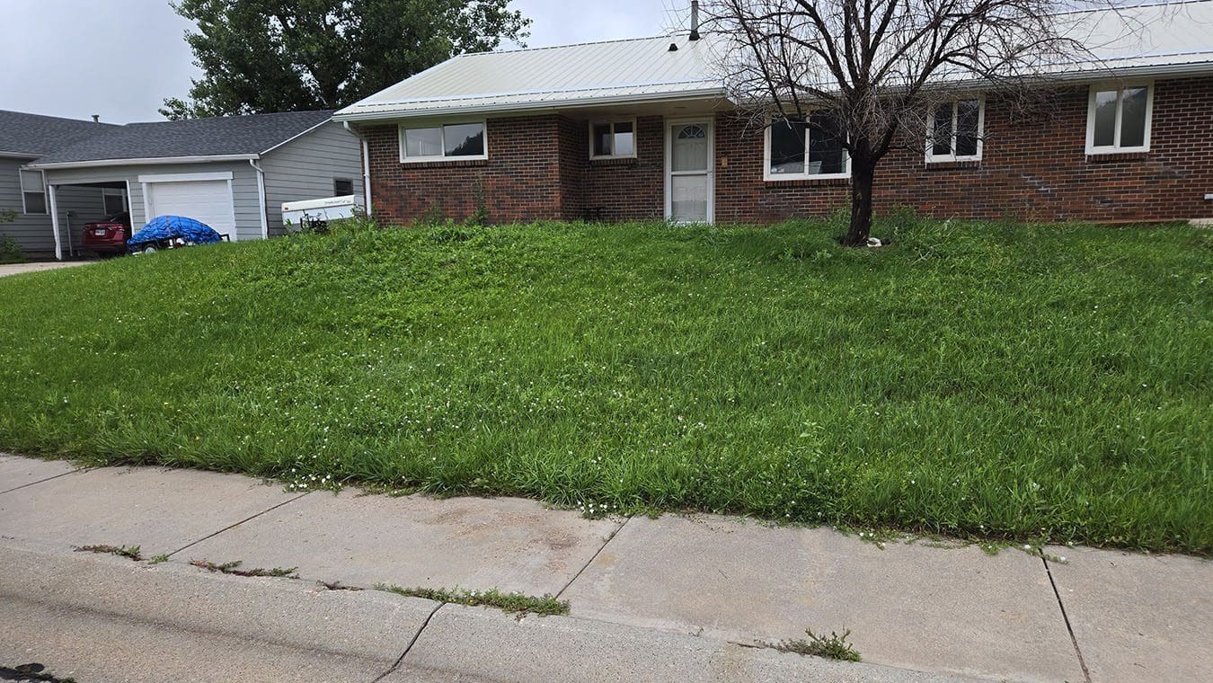 Home in Piedmont before and after lawn care services