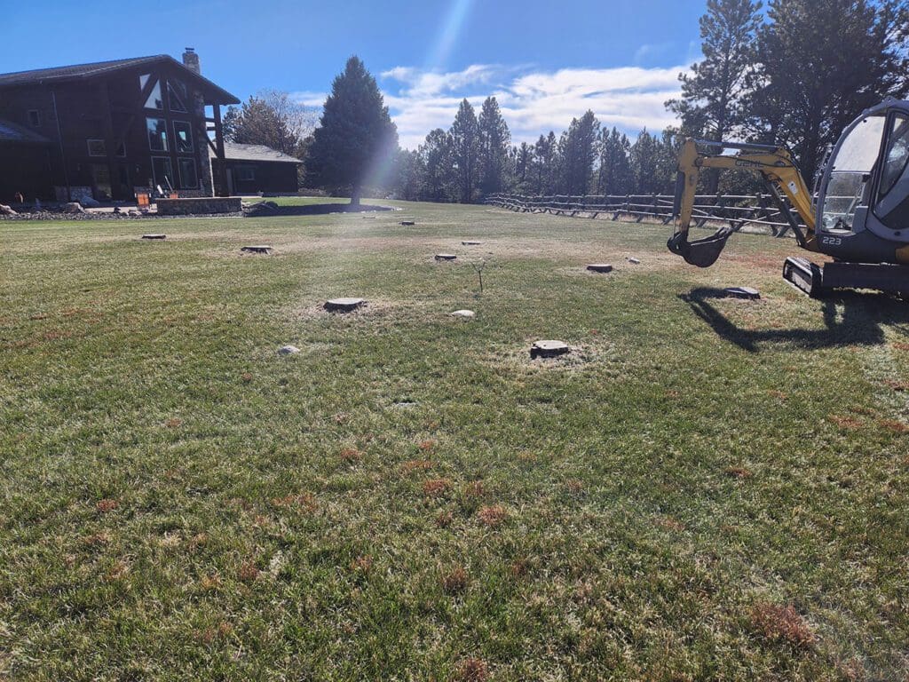 Home in Piedmont before and after lawn care services