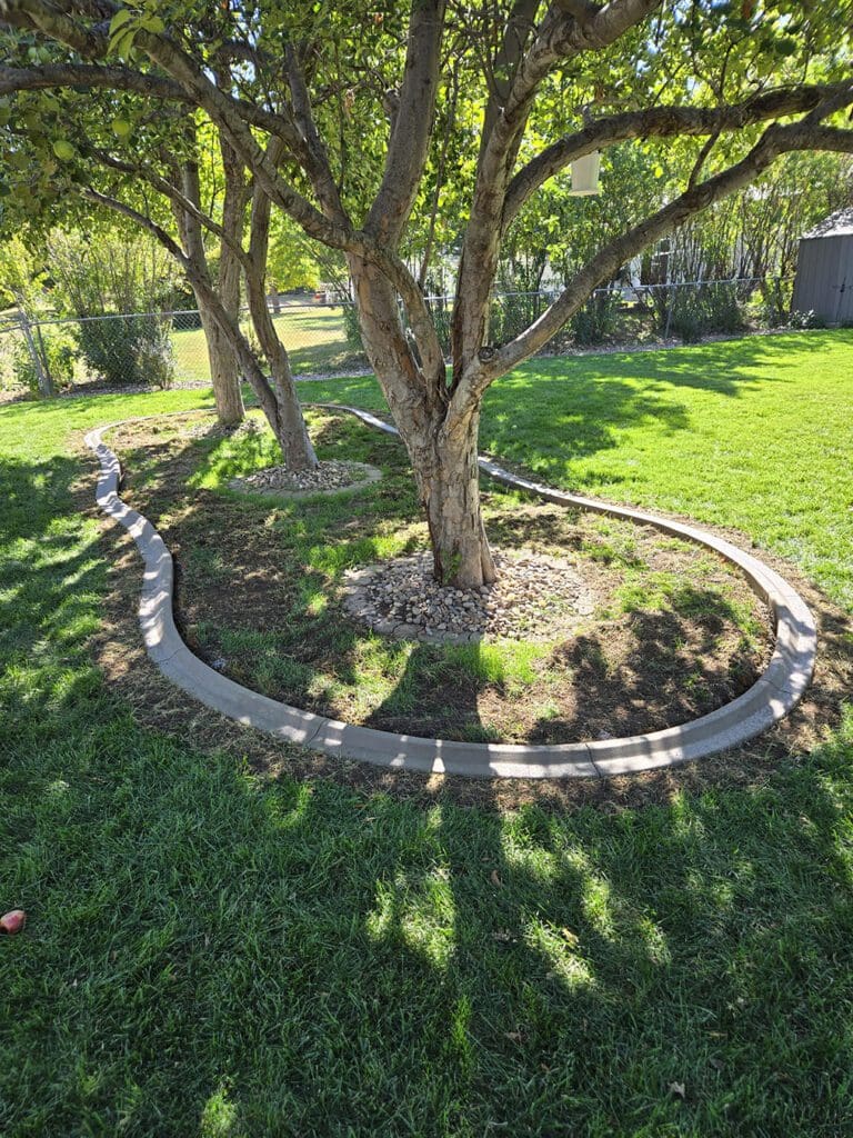 Tree Section with Concrete Curbing